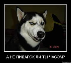 Похлопал, затянул сигарету... у меня каско мне пофую! Гуляй!