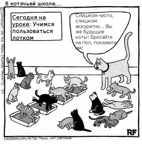 Гуляет Алиса по шахматным клеткам, или шоколадка за нольпятку