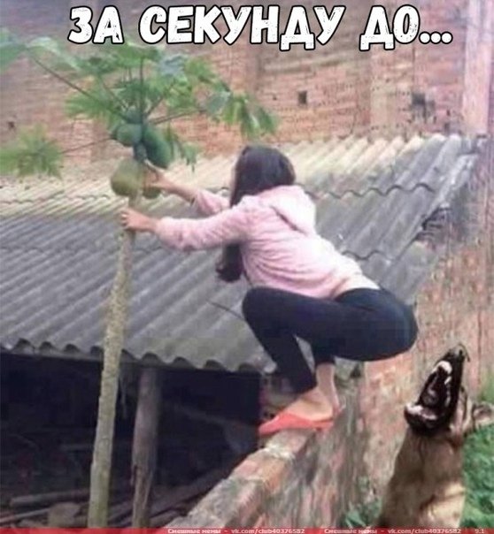 Приколы в стиле "регресс"