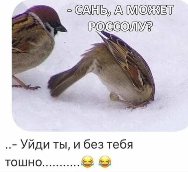 Картинки с надписями, истории и анекдоты 03.01.20