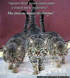 Картинки из этих ваших интернетов 24.02.20