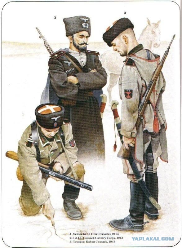 А к нам цирк приехал!