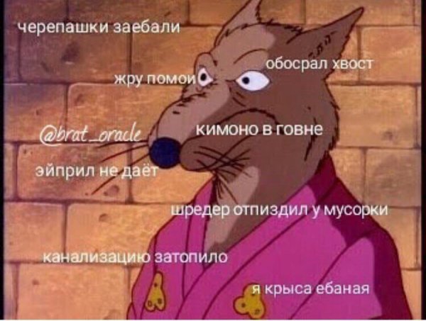 Прикольные и просто красивые картинки 01.09.2020