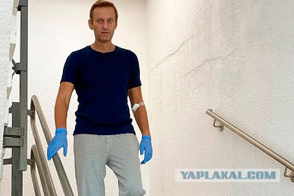 В ОЗХО подтвердили наличие «Новичка» в анализах Навального