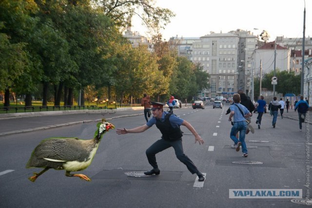 Школьники и полицай