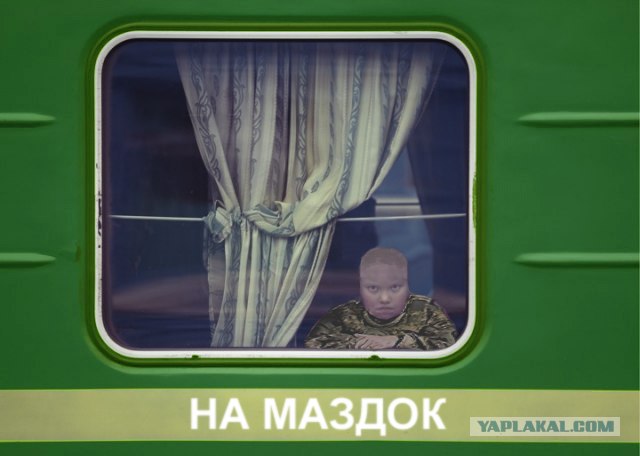 Фотожаба: Добрая девочка