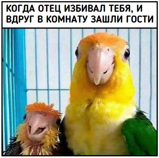 Картинки и мемы для настроения 30.01.21