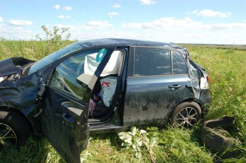 Летчик и колхохник