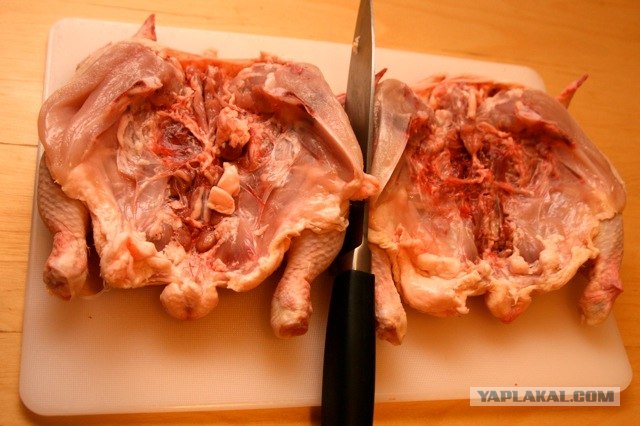 Курочка ряба