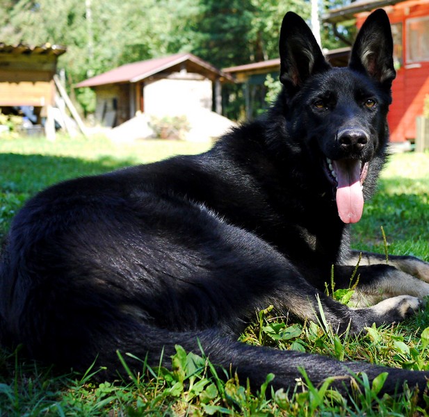 Когда то я была меньше кота, а теперь мы друзья