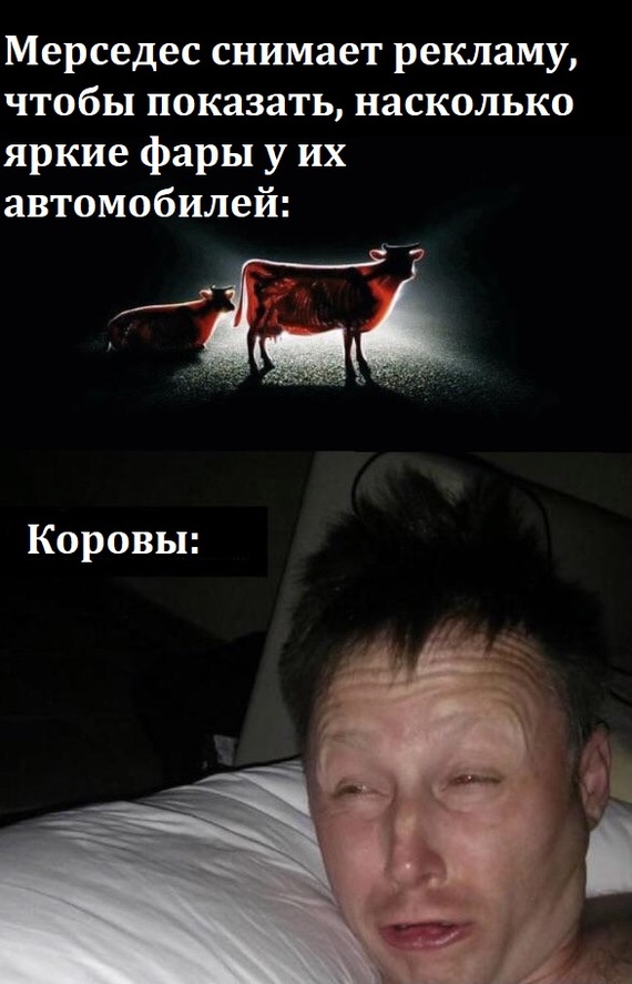 Картинки со смыслом 25.11.2021