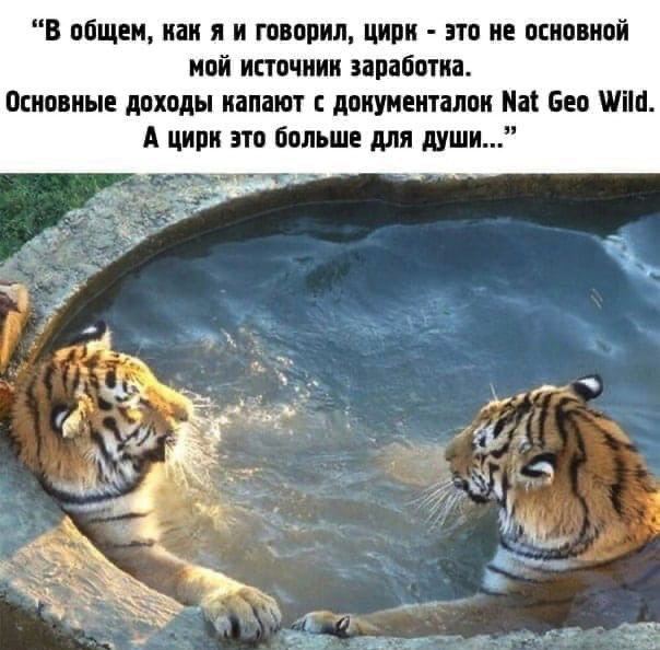 Всяческие картинки 15.12.2021