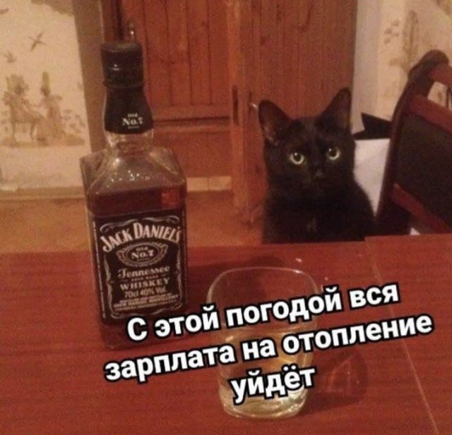 Бредзона