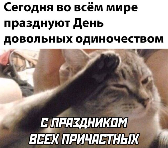 Так себе картинки 15.02.22