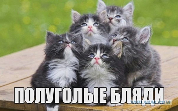 Сексуальный косплей 17.04.22