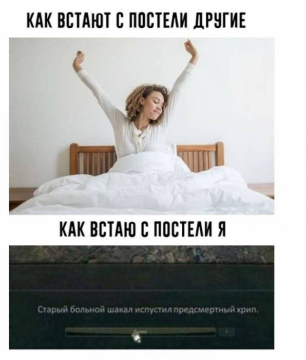 Так себе картинки 03.05.22