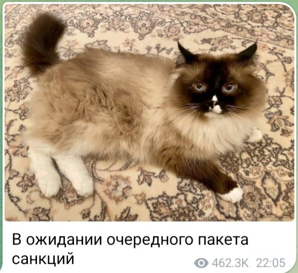 Экс-президент РФ Дмитрий Медведев про санкционное давление
