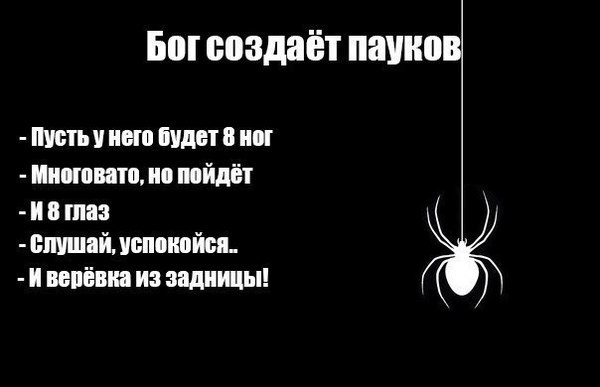 Так себе картинки 23.09.22