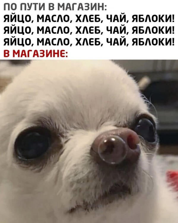 Юмор в картинках и без 04.10.2022