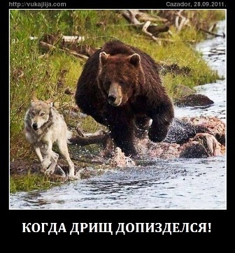 В ставропольском селе жители жалуются на местного «смотрящего», который избивает людей и заставляет целовать землю.