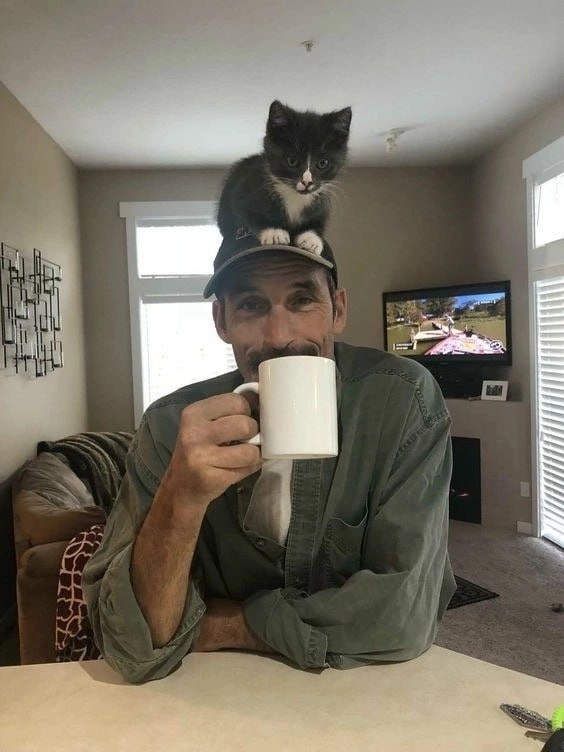 Так себе картинки 27.08.23