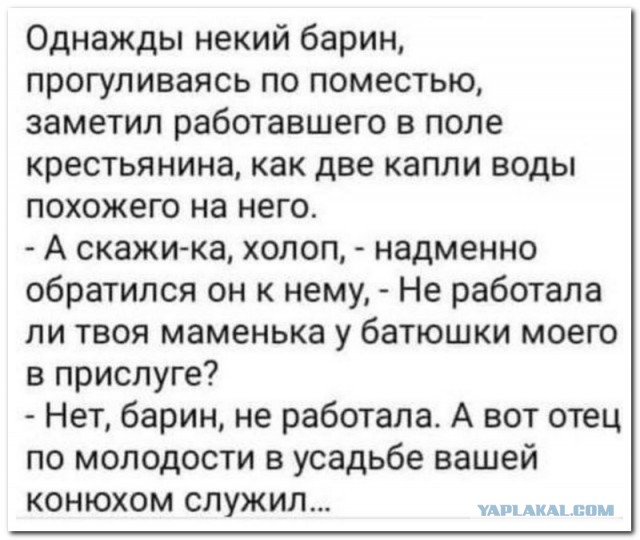 Забавные комментарии из социальных сетей (12.02.24)