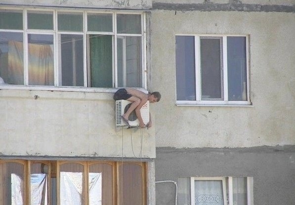 Папа, покажи оленя