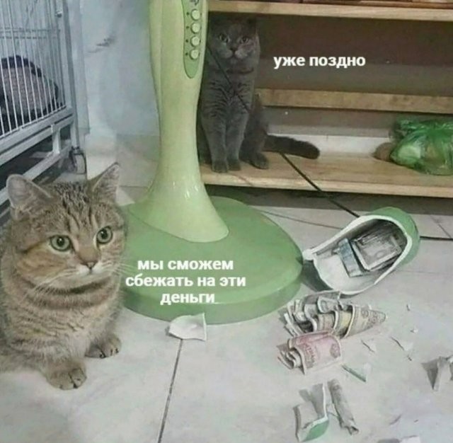 Завалялось тут случайно немного забавных картинок