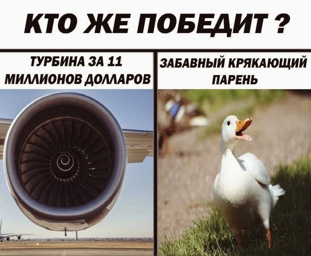 Никакие картинки