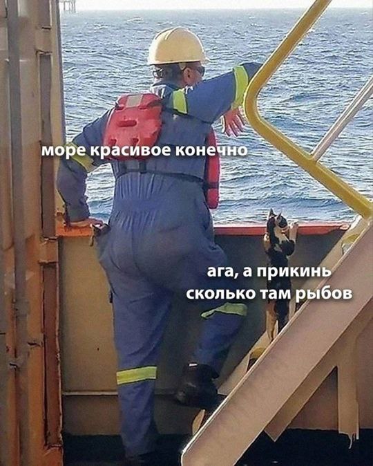 Картиночки, LOL