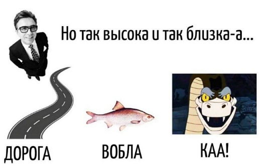 25 картинок от начальника автопарка