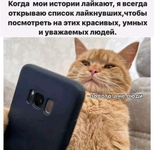 Так себе картинки 13.06.25