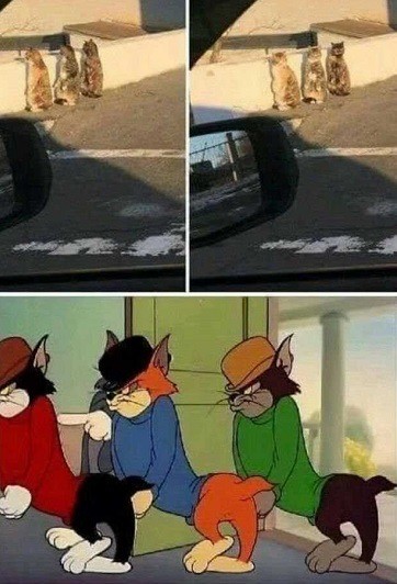 Веселое настроение в картинках 24.07.25