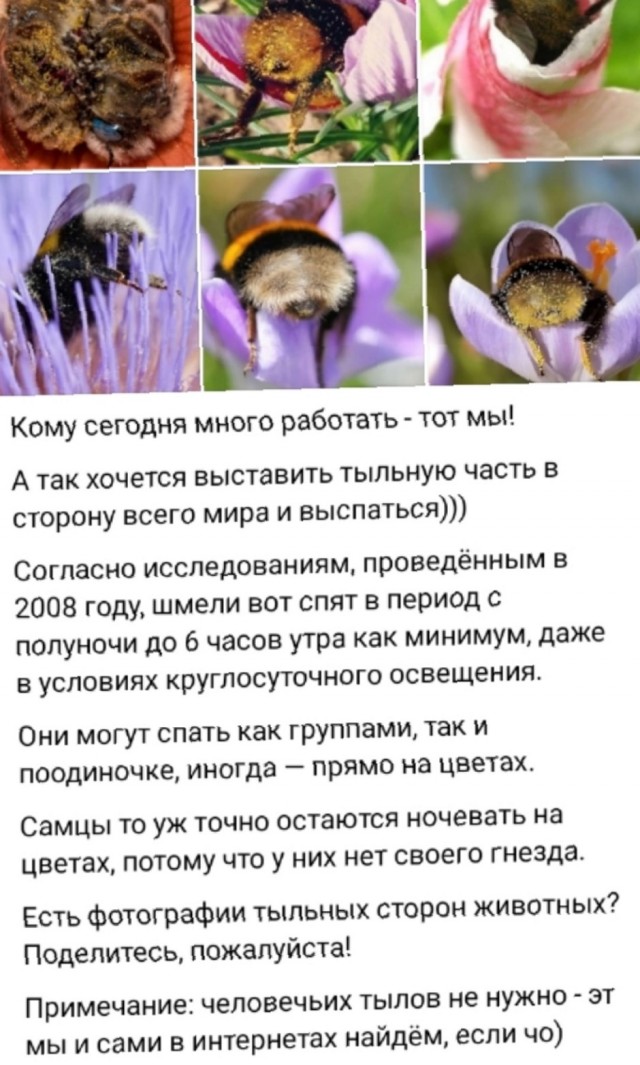 Так себе картинки 07.10.25