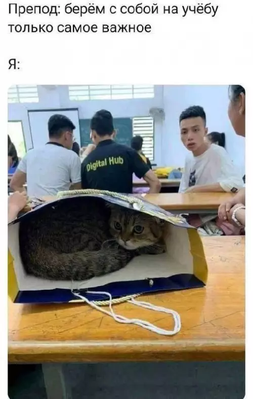 Картиночки, баянчики 10 марта