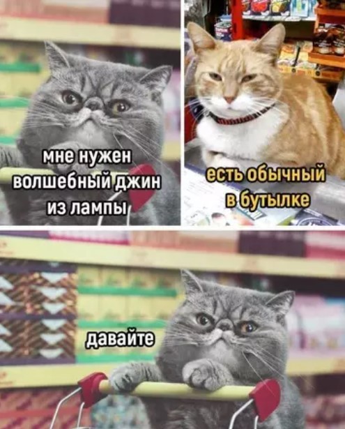 Картинки для деградации 204 (разной степени свежести)