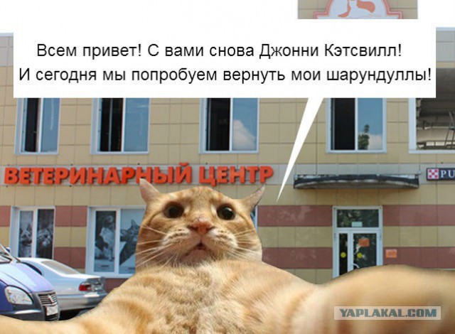 Поспорил что на ЯПе найду нвую жену,краше прошлой!