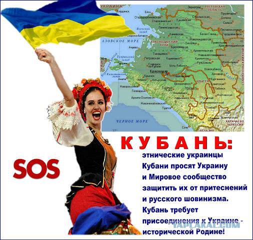 Десяток карикатур