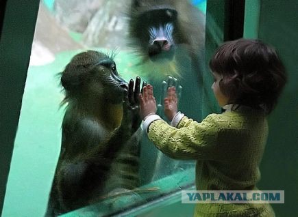 Фотки из интернета.