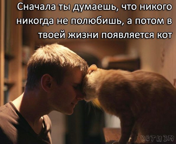 Поднимаем настроение