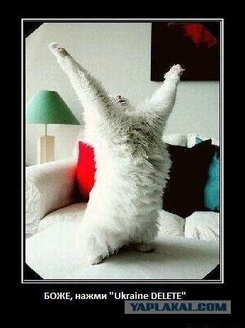 разочаровал «патриотов» Украины