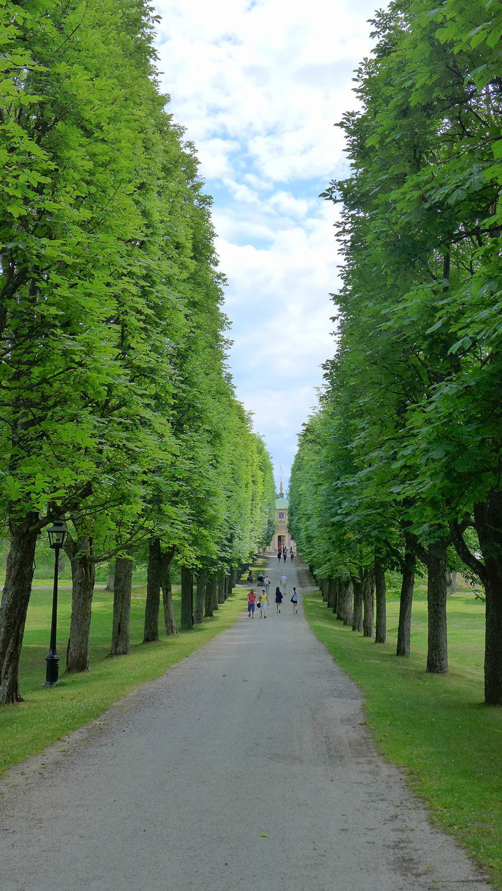 каштановая аллея отзывы. каштаны пловдивская улица. сквер "северная роща" на московском проспекте. каштановая аллея отзывы. каштановая аллея 165.