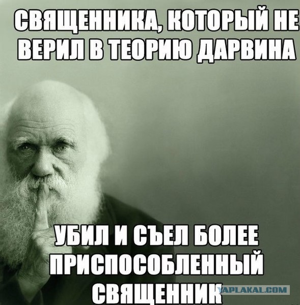 А ведь он прав!