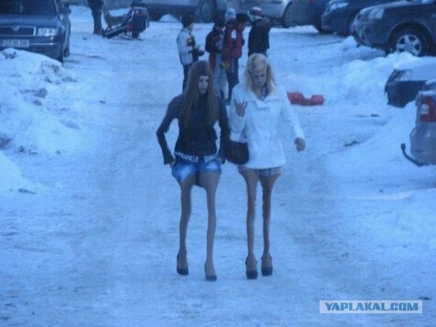 Бессмысленный и беспощадный понт