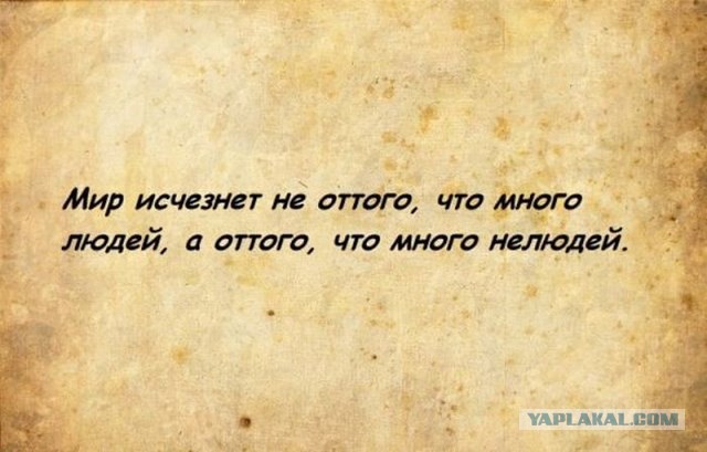 20 фактов обо всем