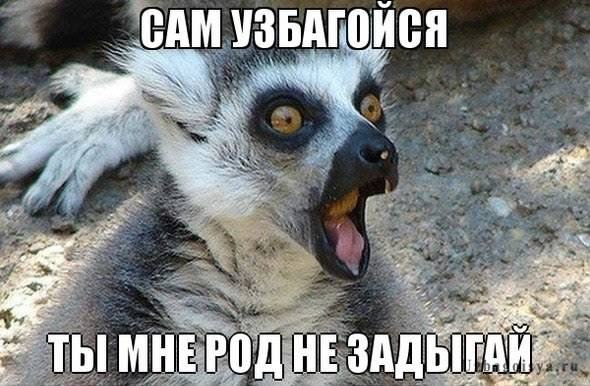 Забавные картинки из интернетов