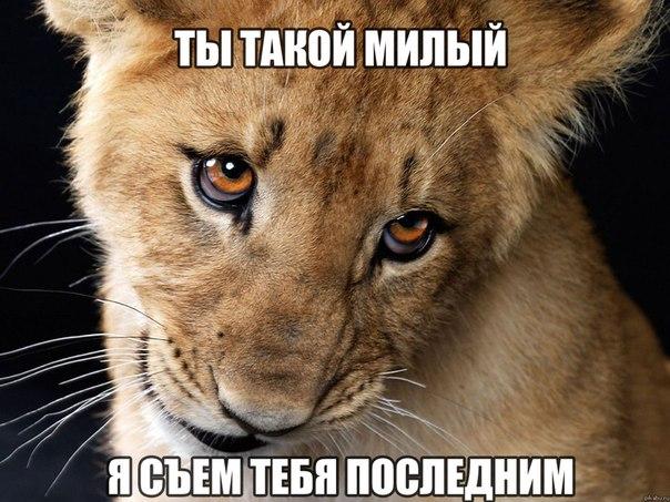 Забавные картинки.