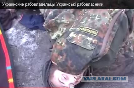 Пойдете ли вы воевать за Киев и Украину?