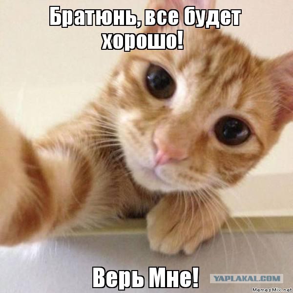 Что за ..... с вертолетами в Москве?