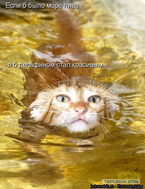 ПИВО - это наше ВСЁ